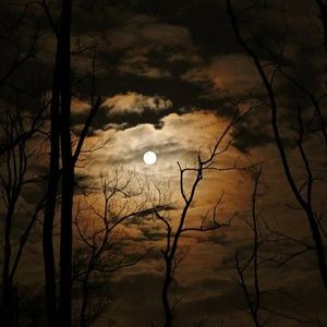 Meet your Posher, Yolanda